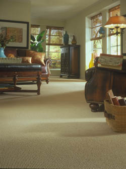 Flooring in Timonium, MD